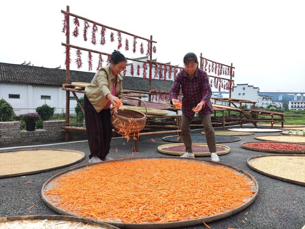 近日，江西省上饒市婺源縣秋口鎮(zhèn)王村的村民正在晾曬農(nóng)作物。新華社記者 劉佳敏 攝