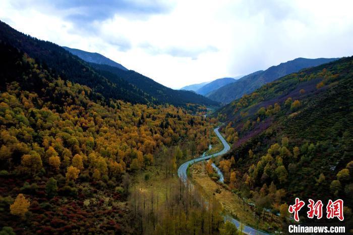 青海网红公路扎碾公路一半秋一半雪