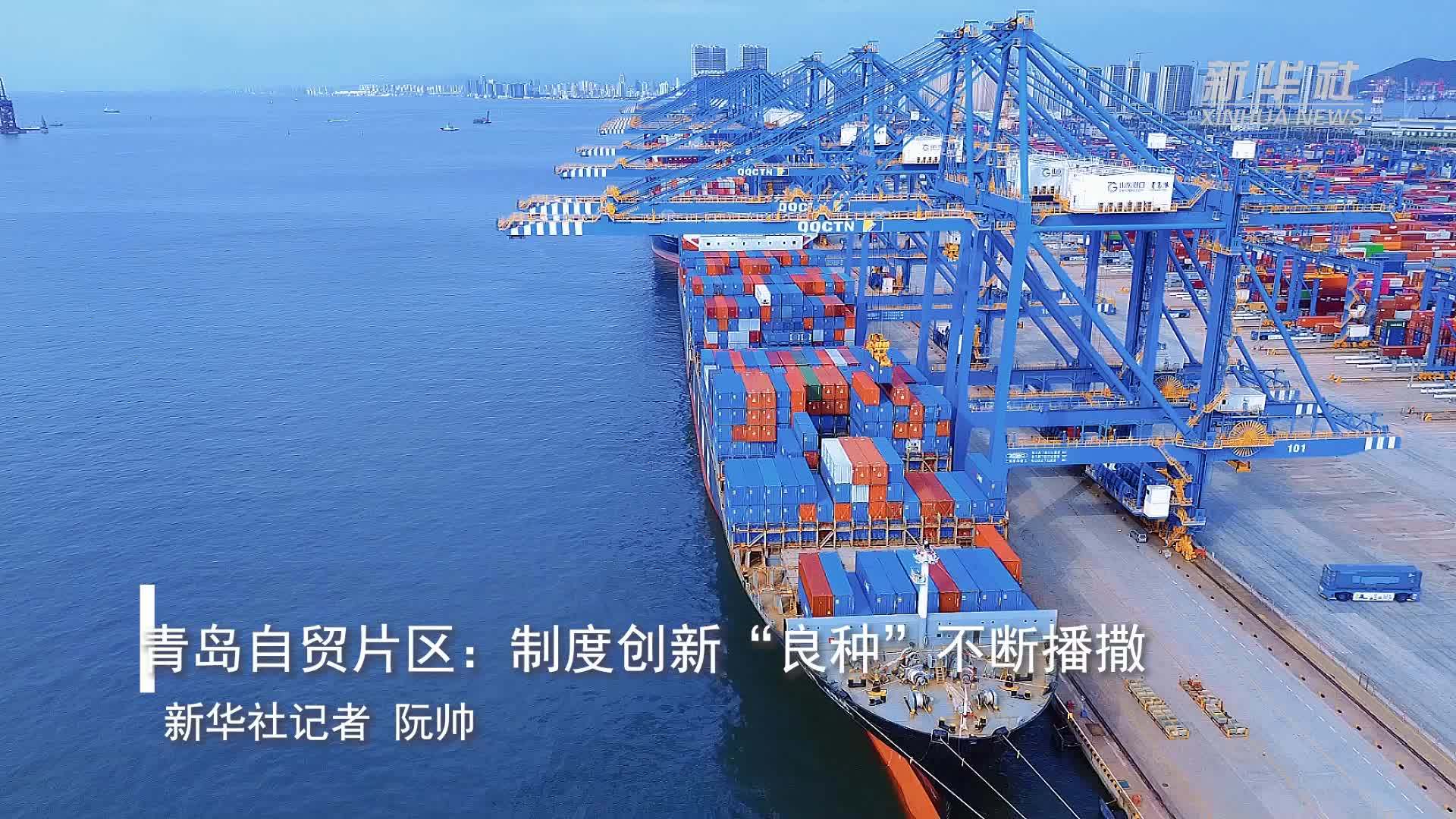 青岛自贸片区：制度创新“良种”不断播撒