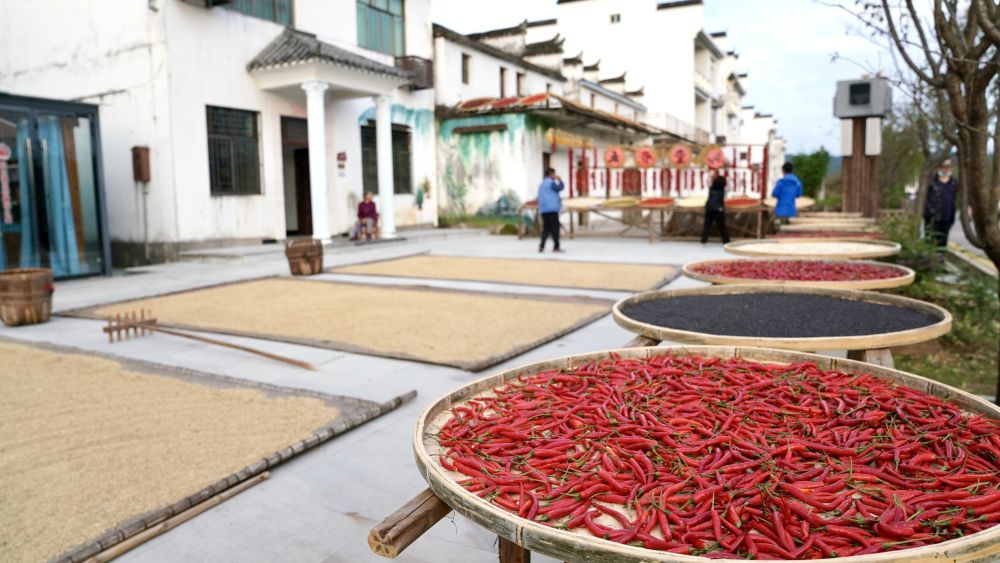 近日拍攝的江西省上饒市婺源縣秋口鎮(zhèn)王村石門自然村。新華社記者 胡晨歡 攝