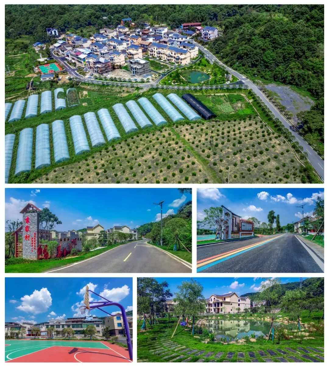 ▲拆旧建新乡村靓