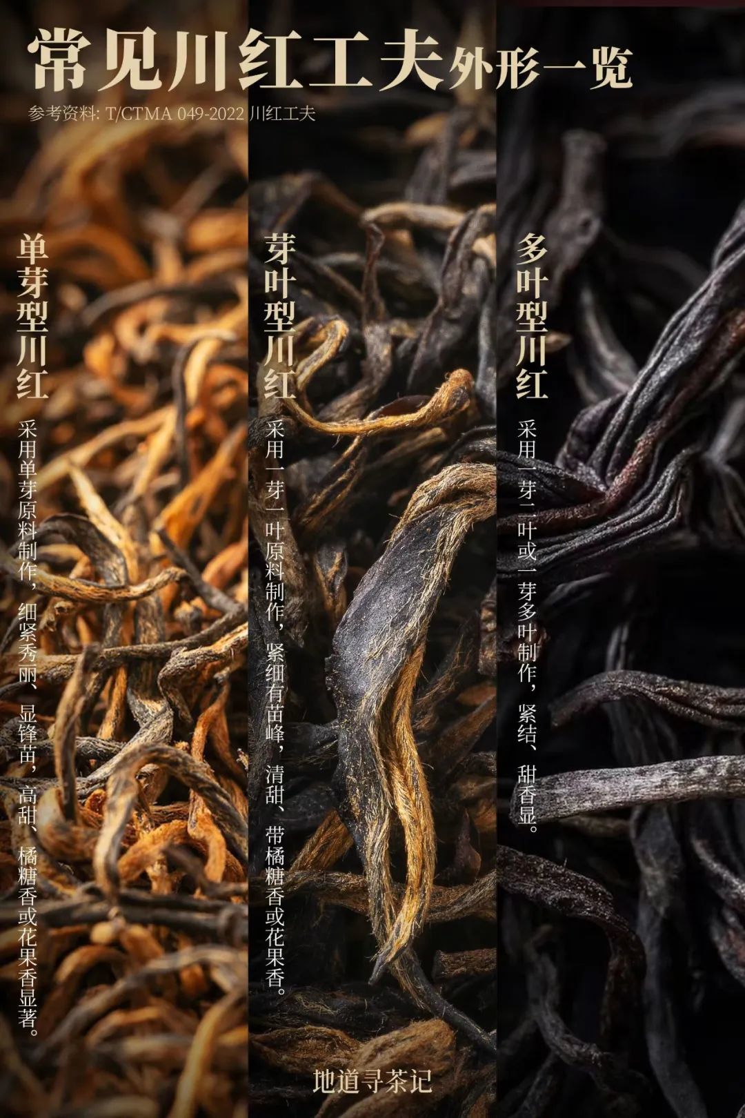 川红工夫的前身名为“红散茶”