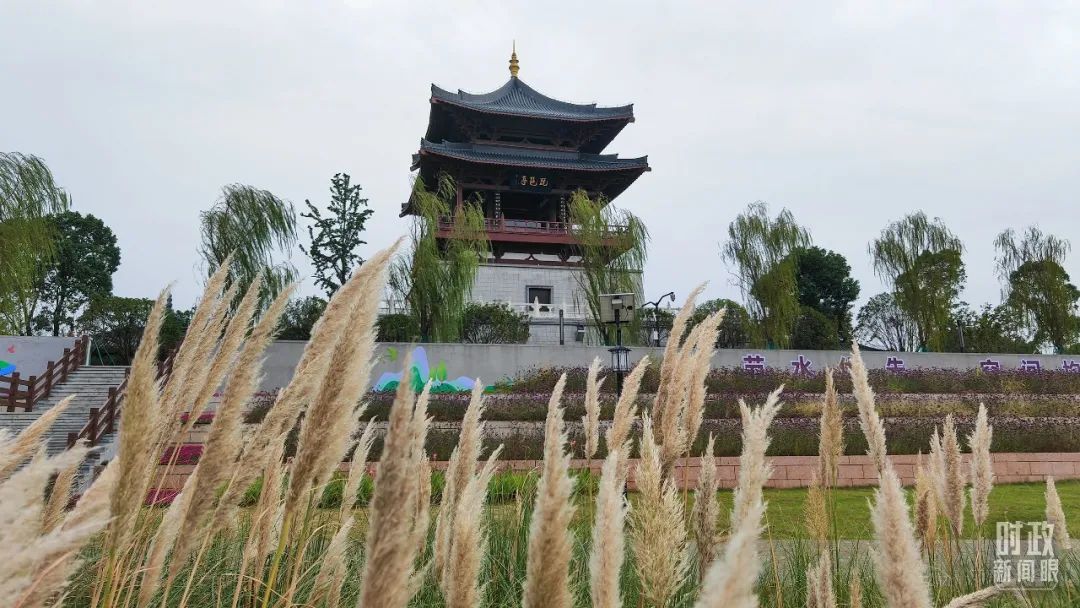 △長江國家文化公園九江城區段。（總臺央視記者程鋮拍攝）