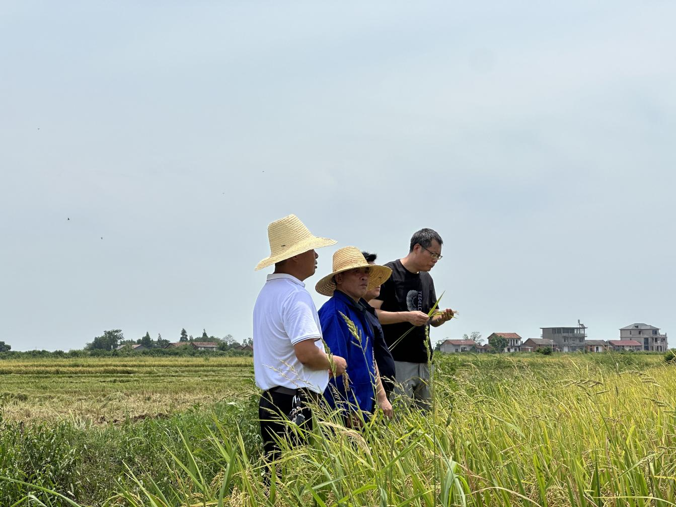 南昌县塘南镇夯实履职基础强化人大工作效能