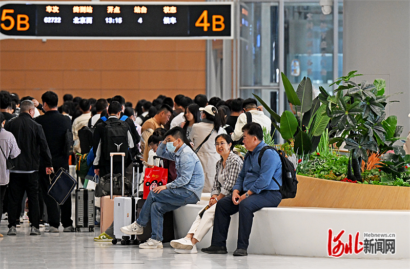 10月6日，雄安站候车室内随处可见的绿植，为旅客营造出舒适宜人的绿色空间。