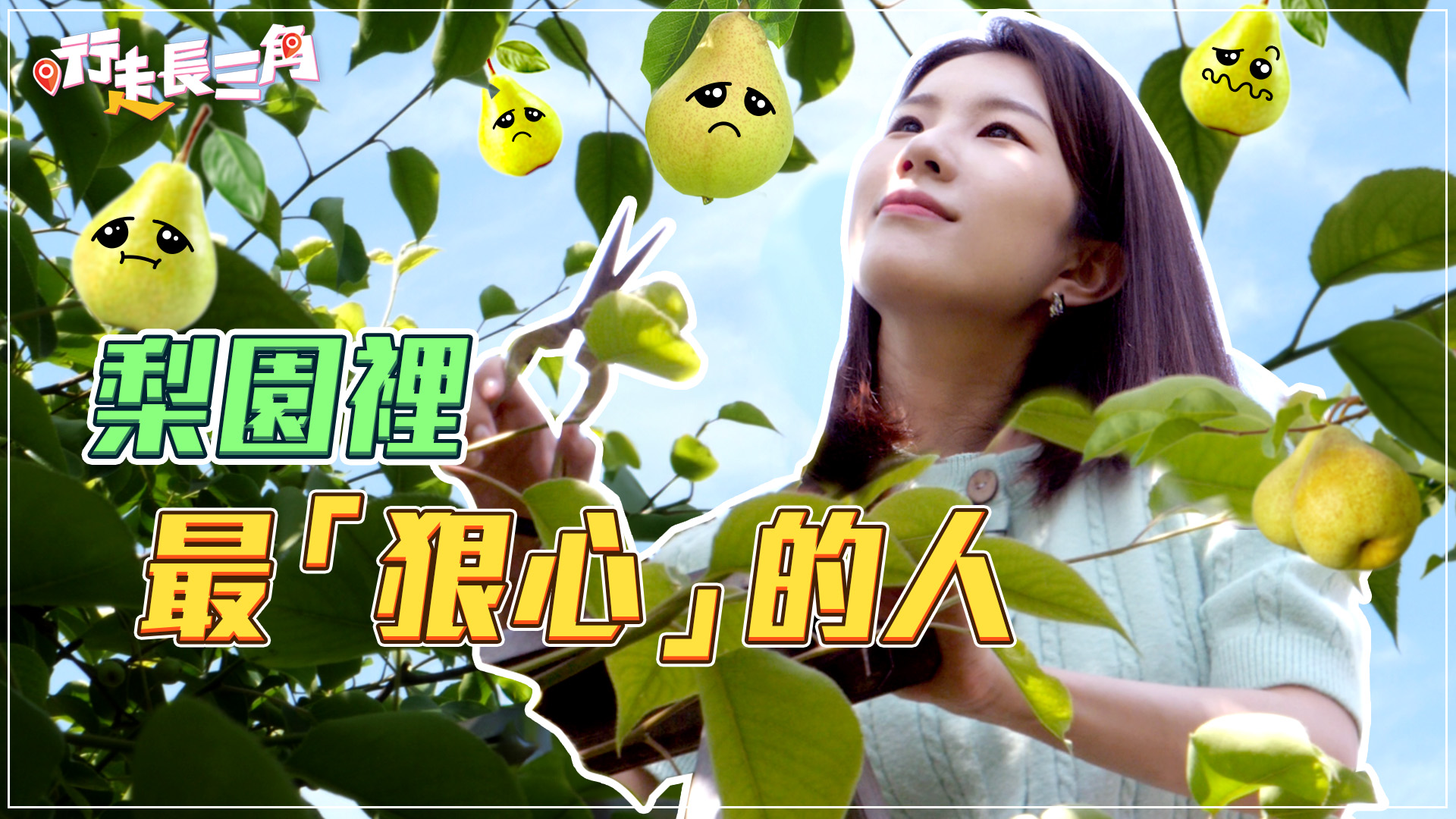 打卡中国最大成片梨园！挑选酥梨这么残酷｜行走长三角