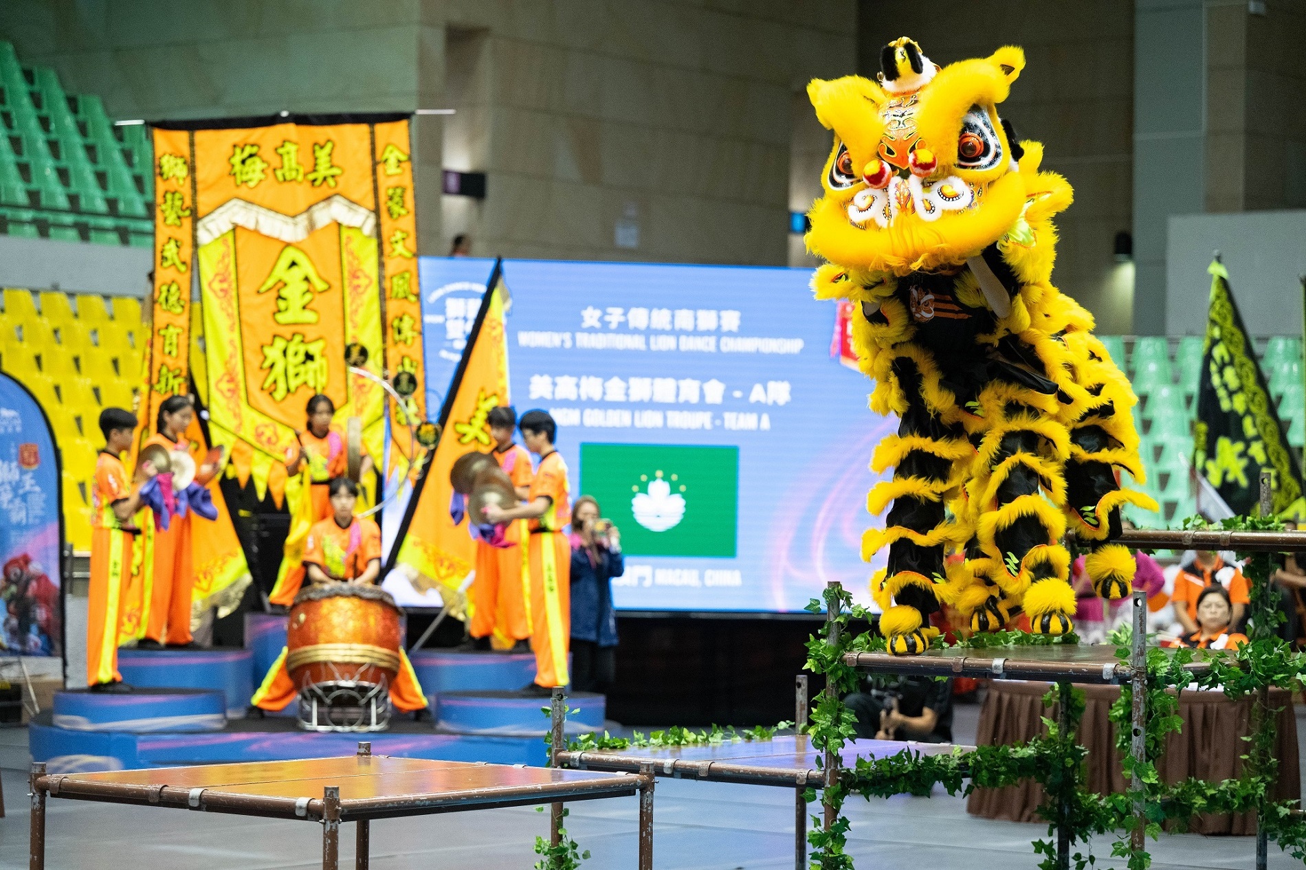 第十届“狮王争霸国际赛2023—美高梅杯”圆满闭幕(图3)