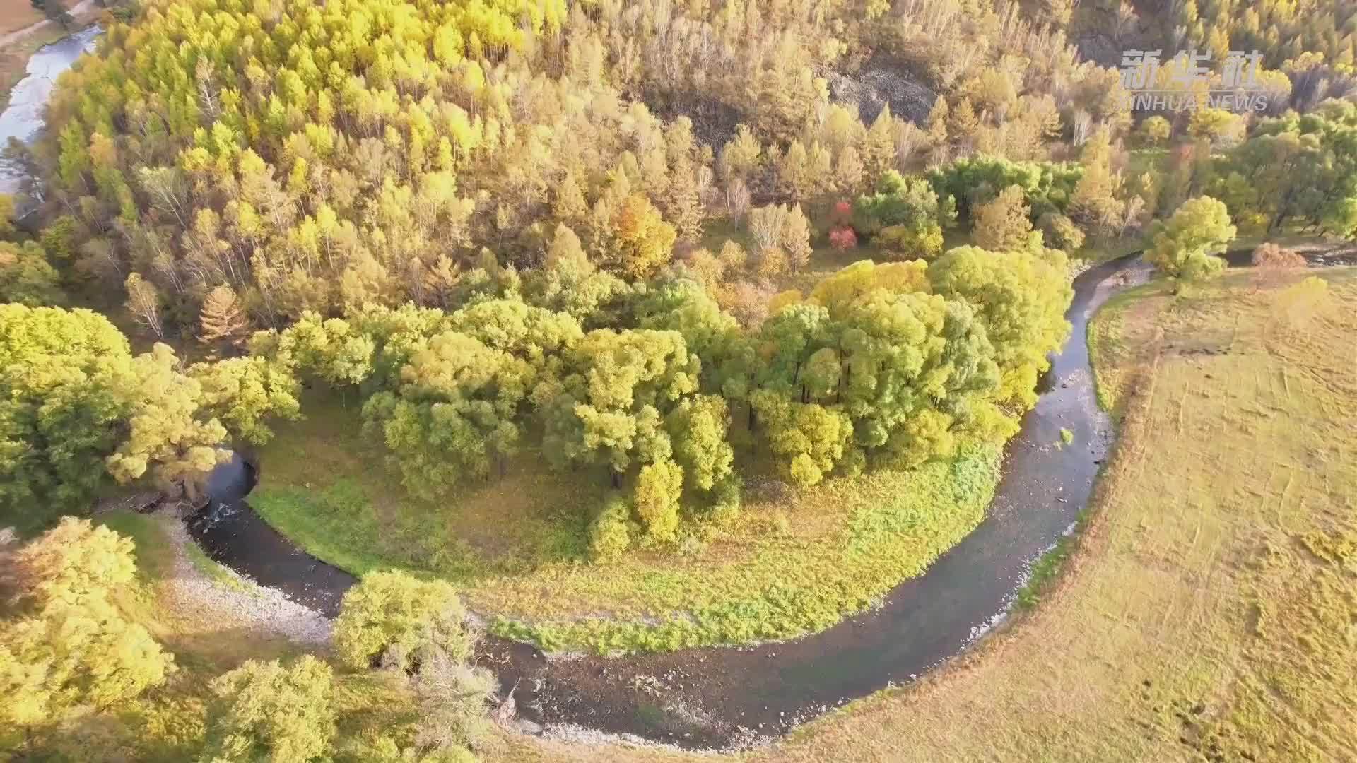 来内蒙古扎兰屯 赏五彩斑斓之秋