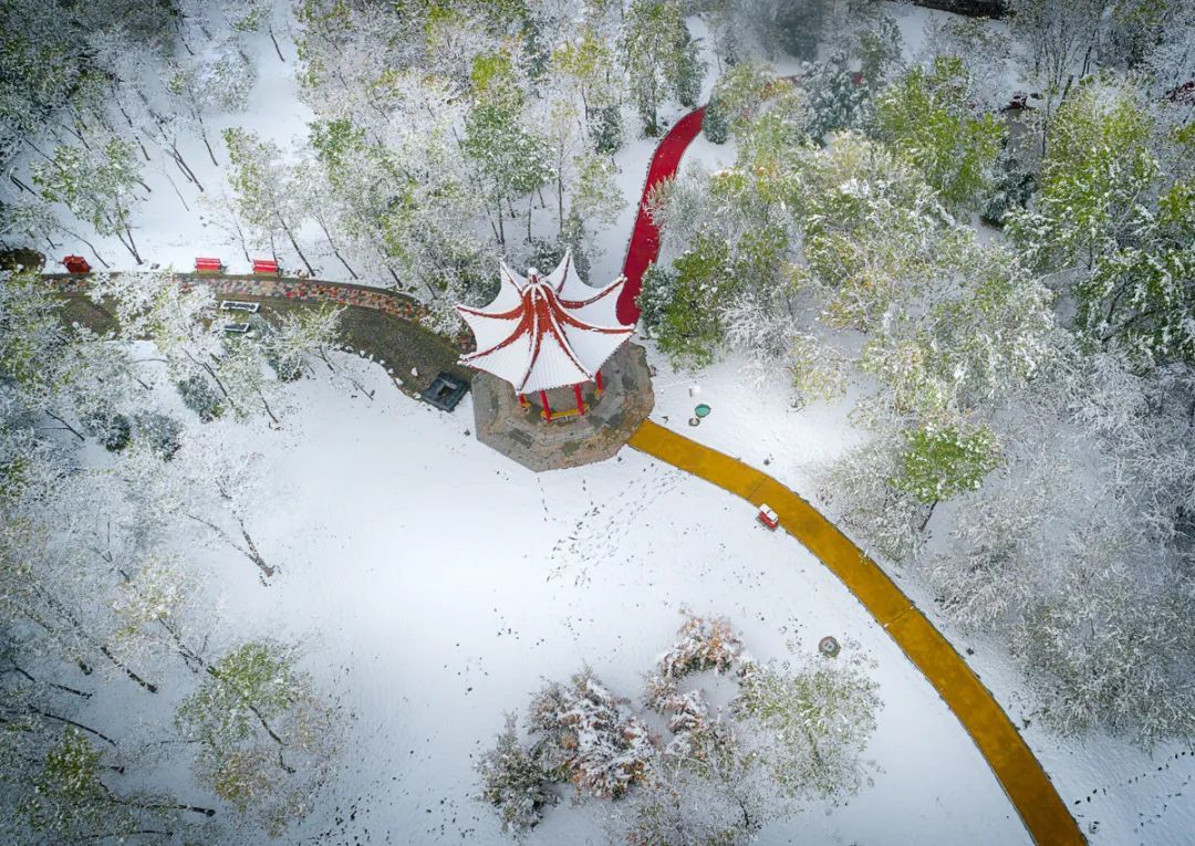 ▲王伟　画意金岭