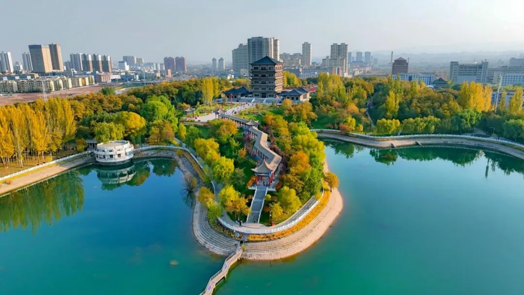 ▲白龙　金岭初秋