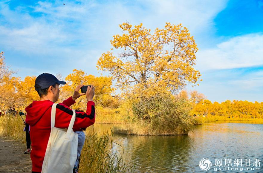 金塔沙漠胡杨林景区内，游客正在拍照打卡。