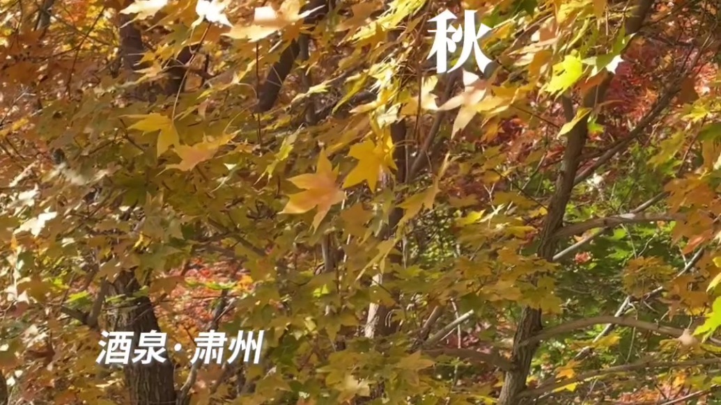 肃州的十月，够我们回味一年四季