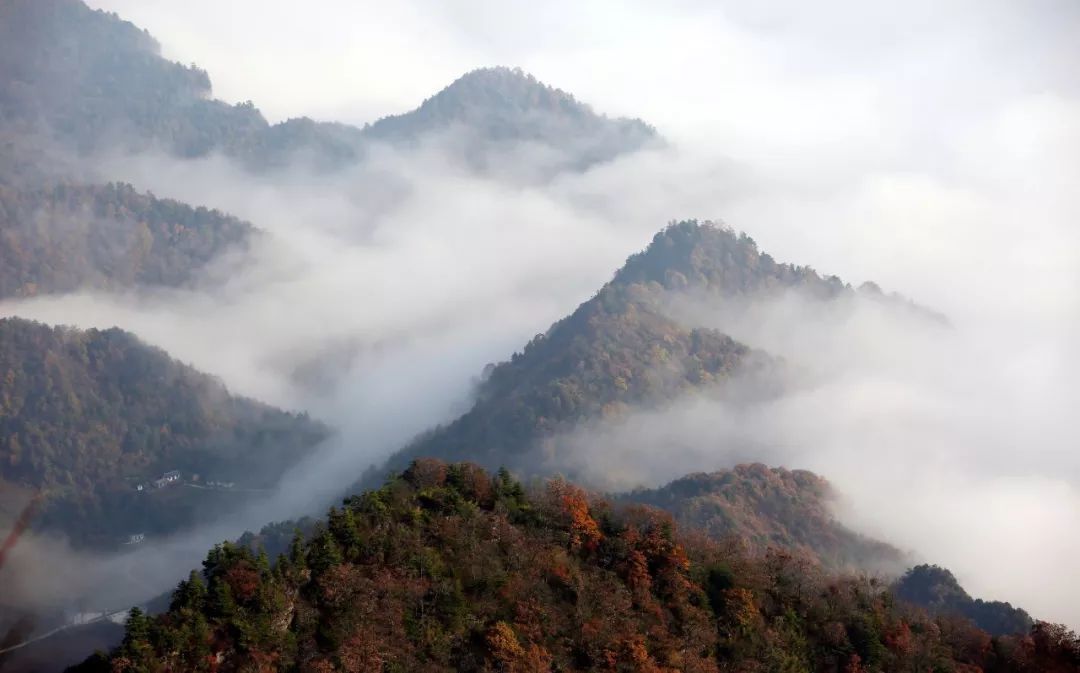 ▲李白笔下的 “青泥何盘盘” 摄影/冉创昌