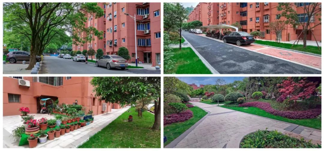 ▲旧改小区堪比新