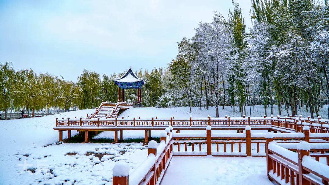 ▲邹军　雪映曲桥