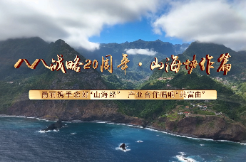 八八战略实施20周年·山海协作宁波实践篇(4)丨甬丽携手念好“山海经” 产业合作唱响“共富曲”