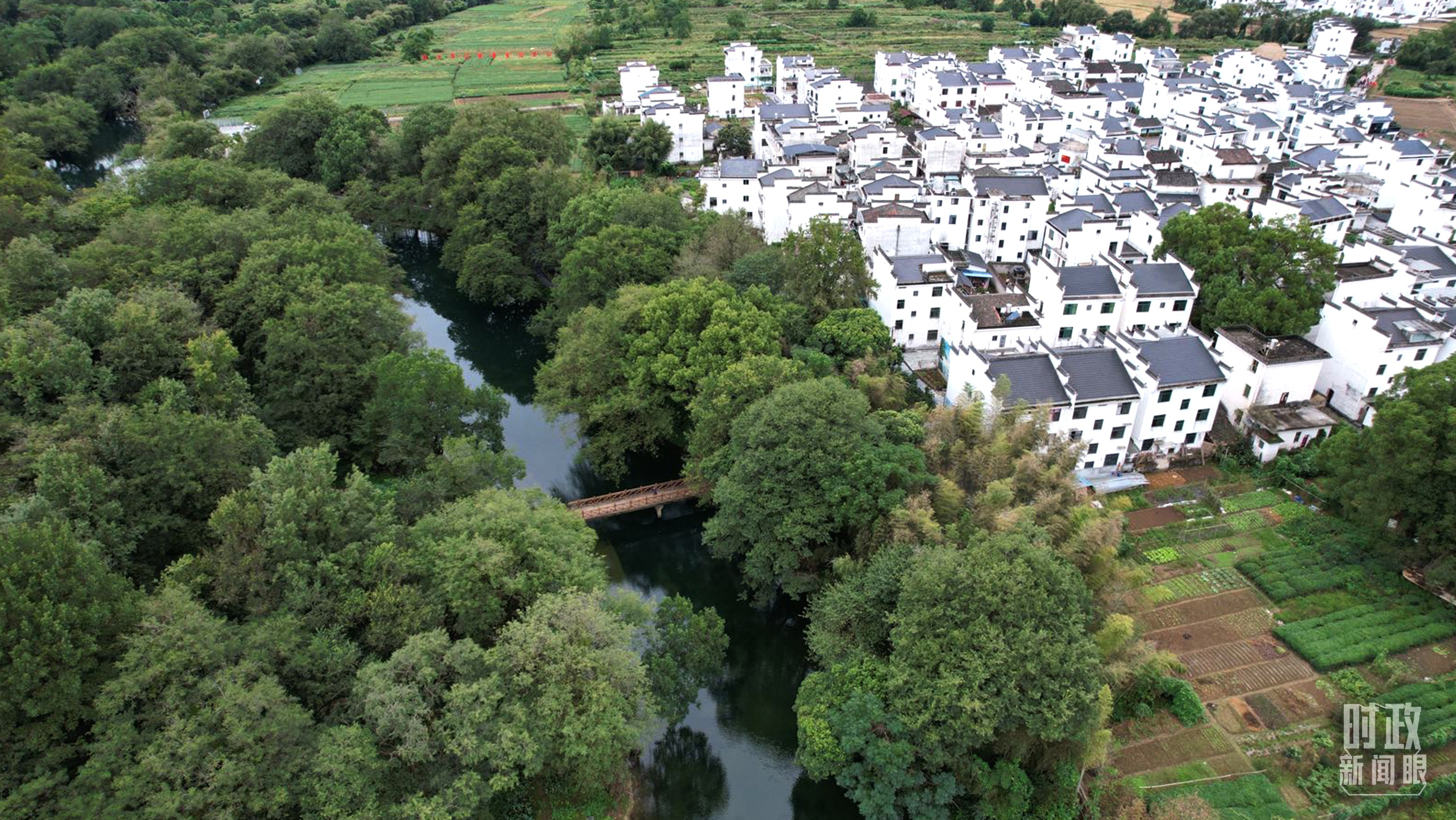 △位于饒河源國家濕地公園中心地帶的石門村。（總臺央視記者范凱拍攝）