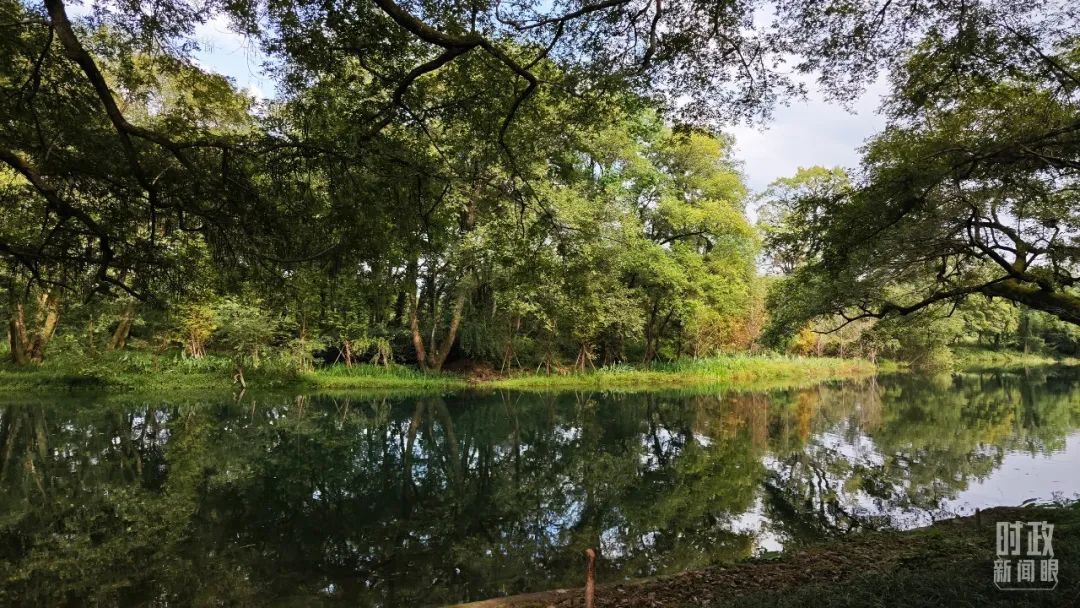 △石門村位于饒河源國家濕地公園的中心地帶。（總臺央視記者郁振一拍攝）