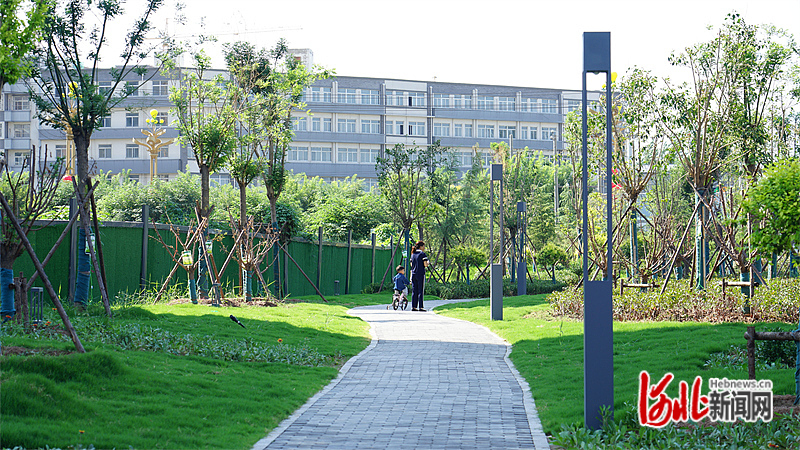 10月7日，居民在魏县第二中学西侧带状公园内游玩。 河北日报通讯员岳扬摄