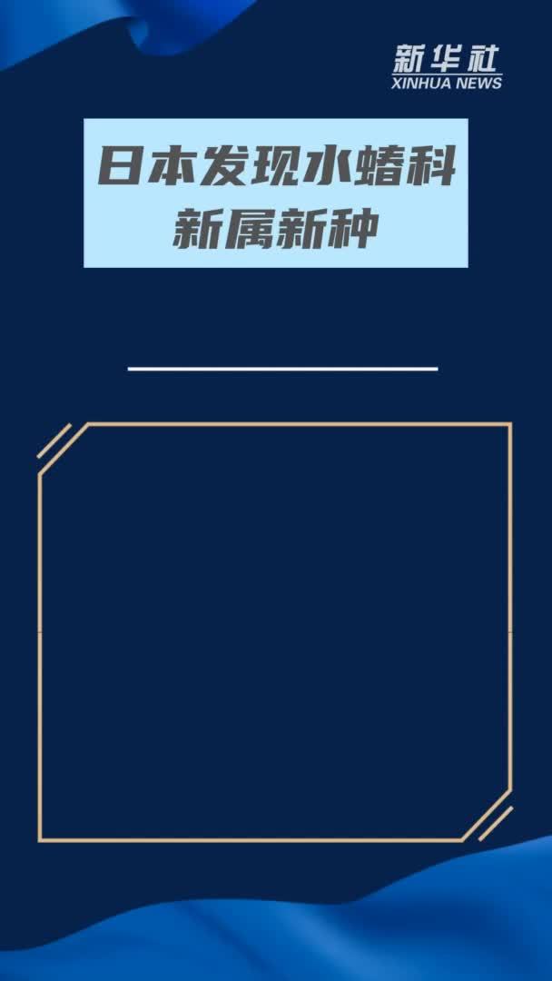 日本发现水蝽科新属新种