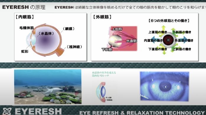 黄斑变性患者新希望，AR空间计算还原世界的精彩_凤凰网健康_凤凰网