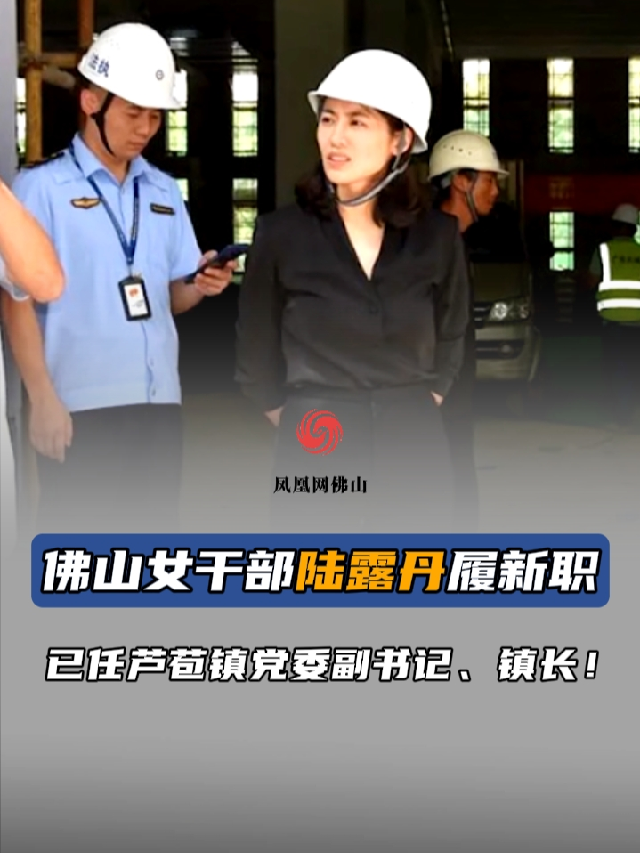 佛山女干部陆露丹履新职已任芦苞镇党委副书记镇长人事任命任职公示