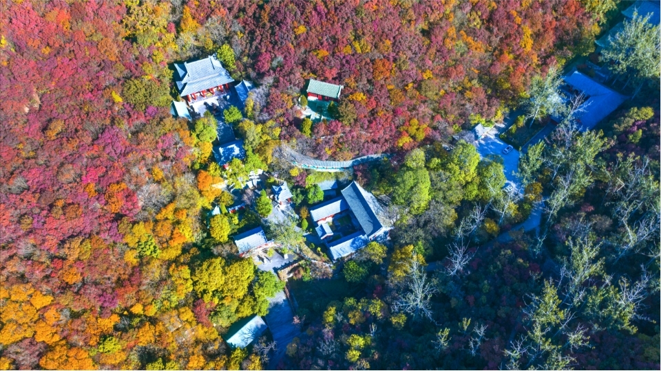 章丘:热热闹闹赶大集 欢聚金秋好时节