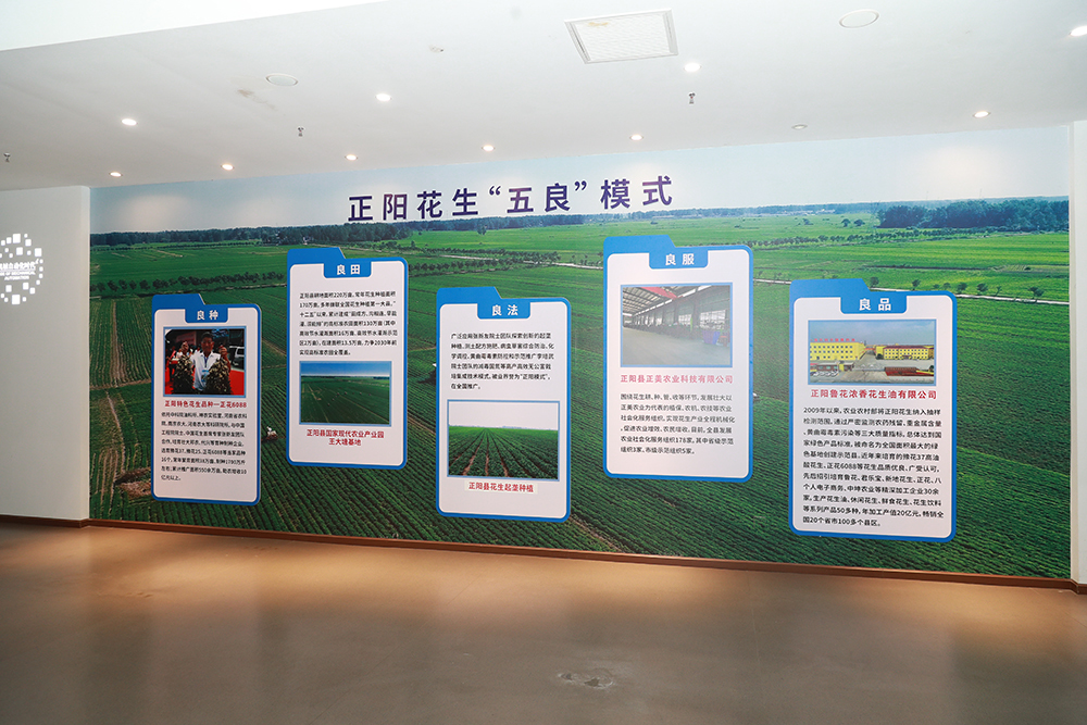正阳:推进花生产业高质量发展
