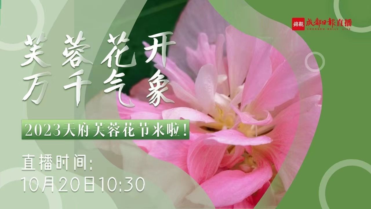 芙蓉花开 万千气象2023天府芙蓉花节来啦