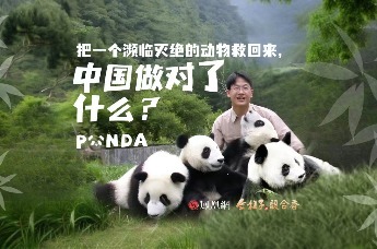 把一个濒临灭绝的动物救回来，中国做对了什么？