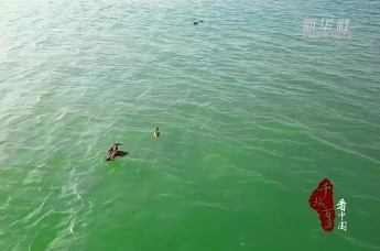 千城百县看中国｜山东武城：传唱武城运河船工号子 守护运河“听”的记忆