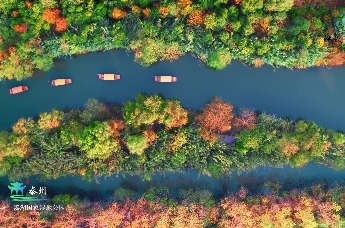 水韵江苏·宜鲁同行|水韵江苏——秋景