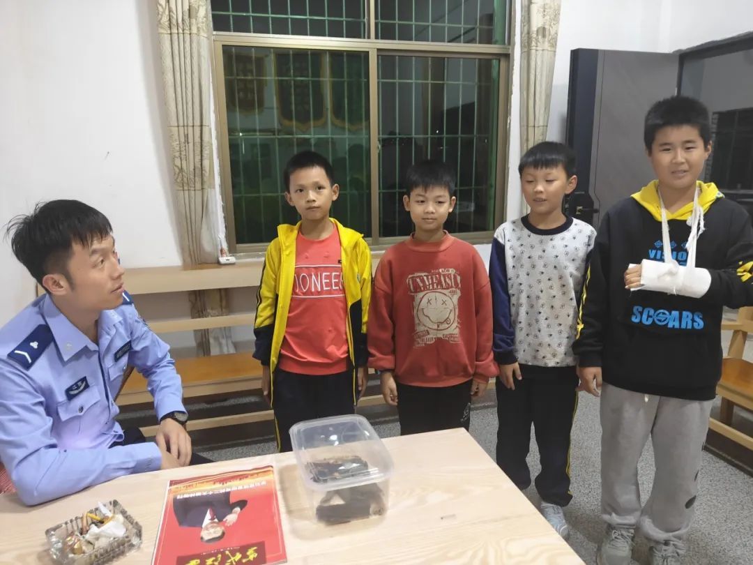 宁都首次发现曾被宣布灭绝的阳彩臂金龟 四名小朋友获点名表扬