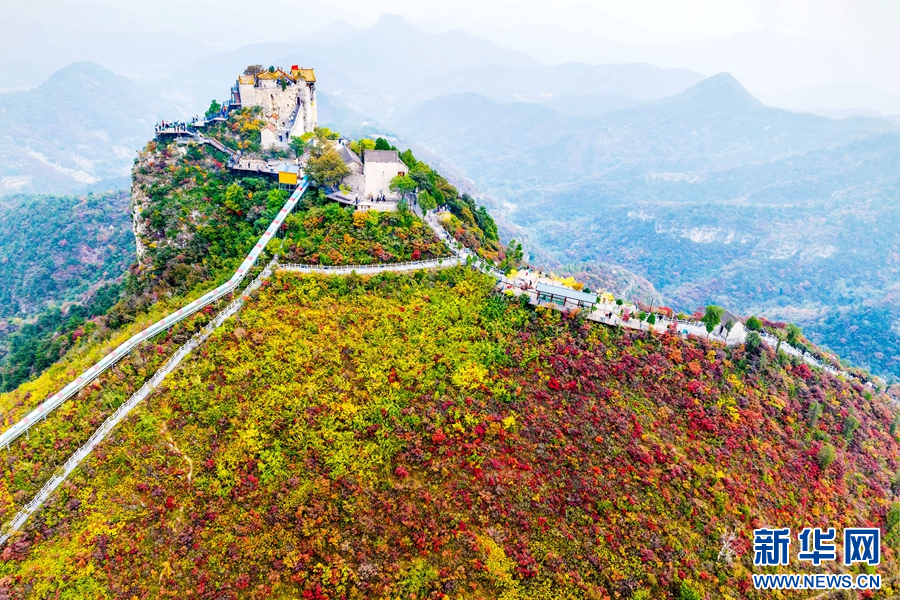 10月17日,河南省林州市原康镇柏尖山,满山红叶吸引了四面八方的游客。