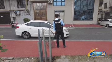 莫让小可爱们没了归宿!萍乡街头频现流浪狗 月处置量多达60次