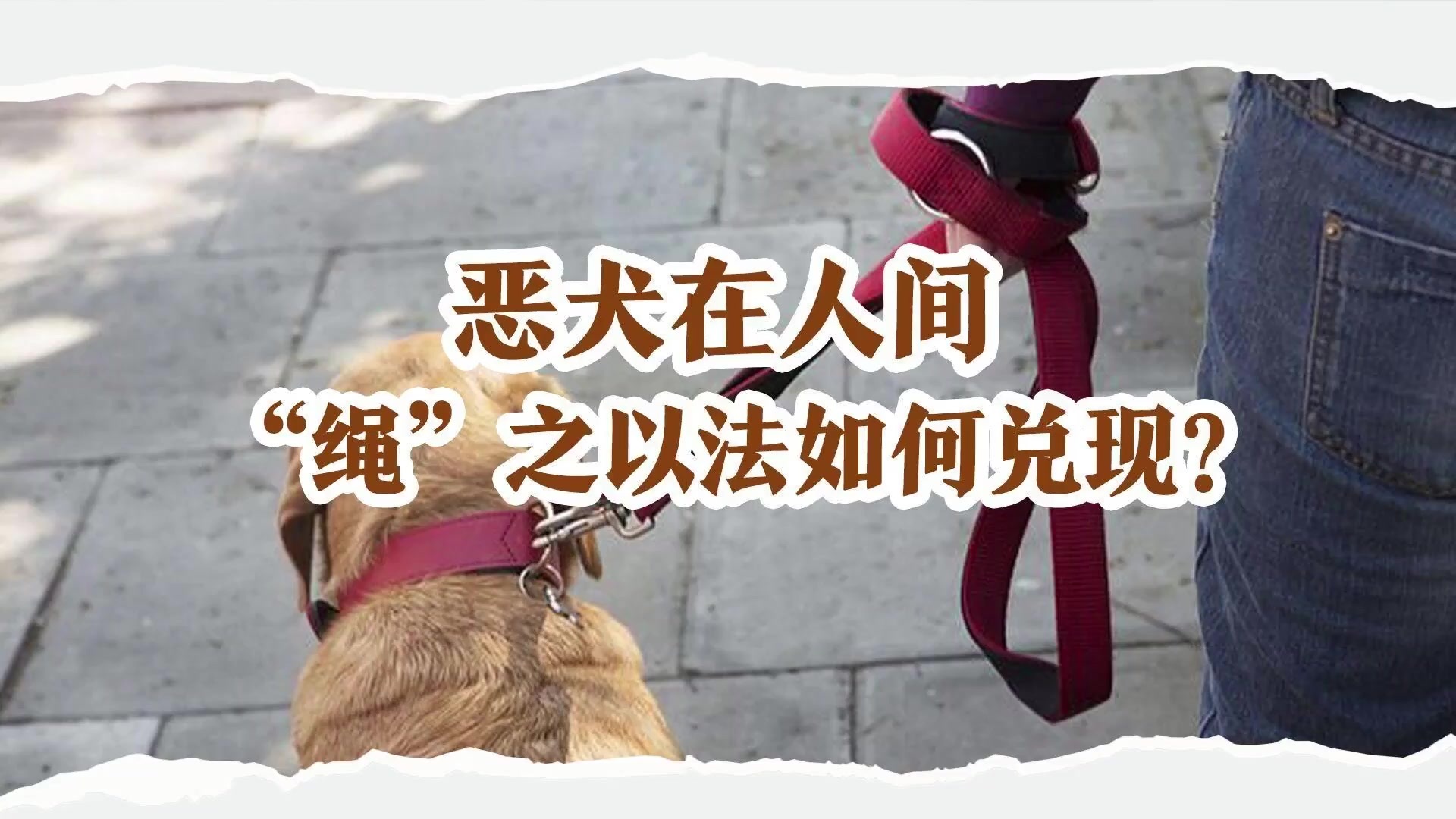 恶犬在人间，“绳”之以法如何兑现？_凤凰网视频_凤凰网