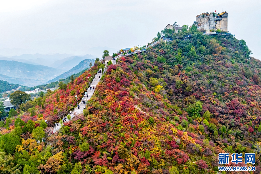 10月17日,河南省林州市原康镇柏尖山,满山红叶吸引了四面八方的游客。