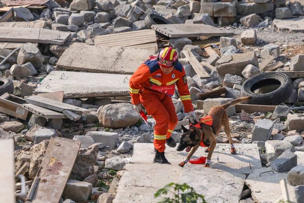 甘肃消防训导员董星星与搜救犬战狼参加废墟搜救科目竞赛
