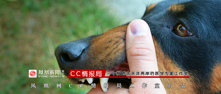 恶犬伤童接连两起!每年4000万人受伤,狂犬病防治指南来了_凤凰网