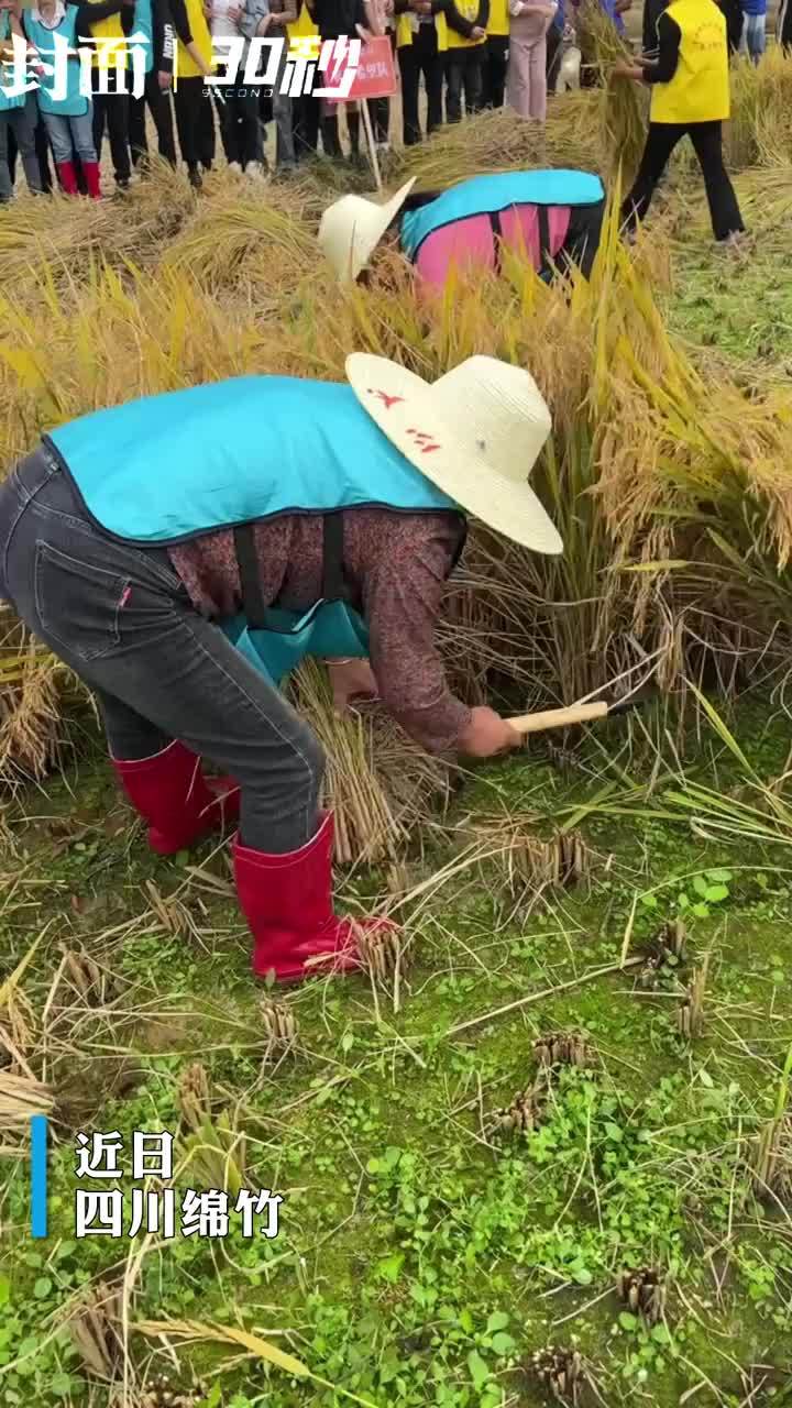 30秒｜四川绵竹：搬出“传家宝” ，用趣味运动会庆丰收