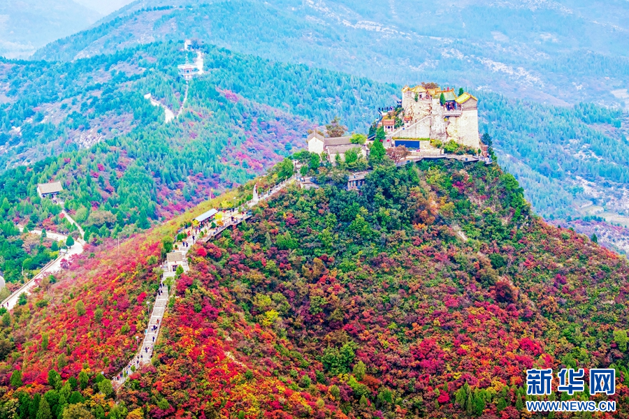 10月17日,河南省林州市原康镇柏尖山,满山红叶吸引了四面八方的游客。