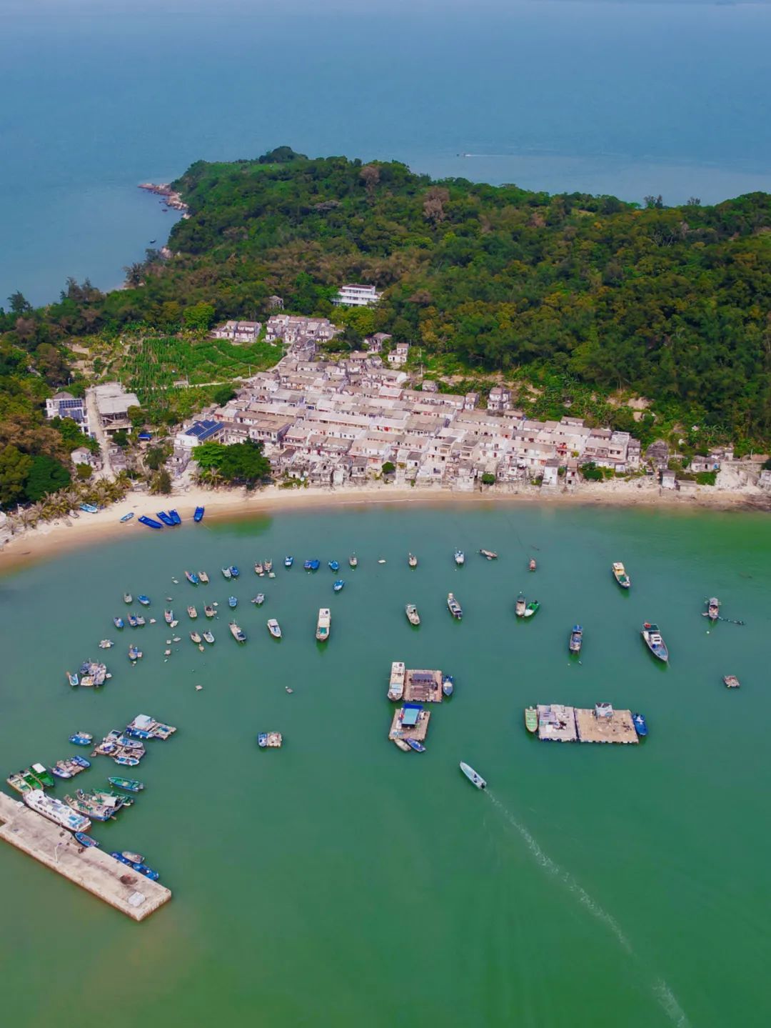 张浩洋 摄