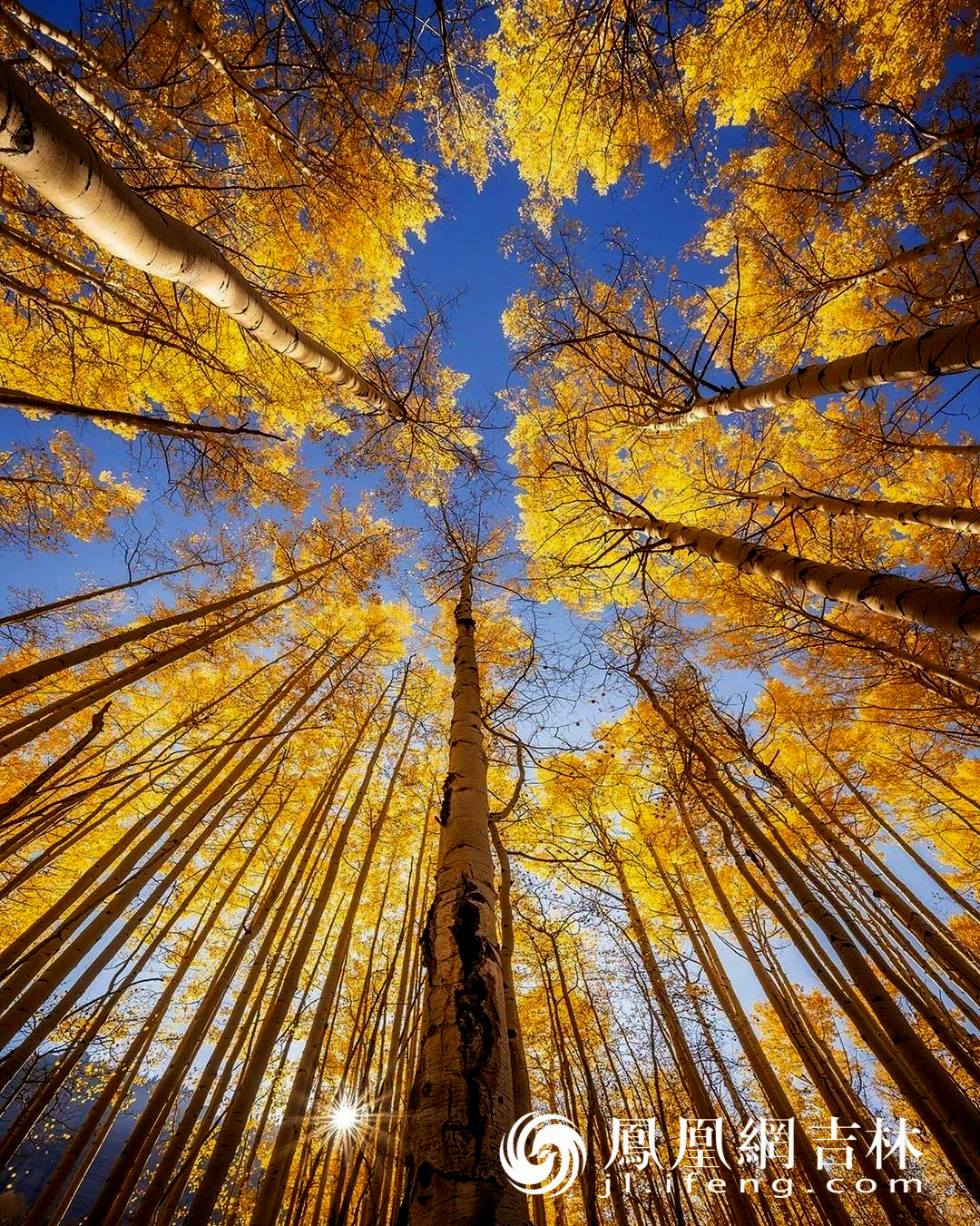 红尘忽晚，山河初秋。凤凰网吉林 王振东/摄