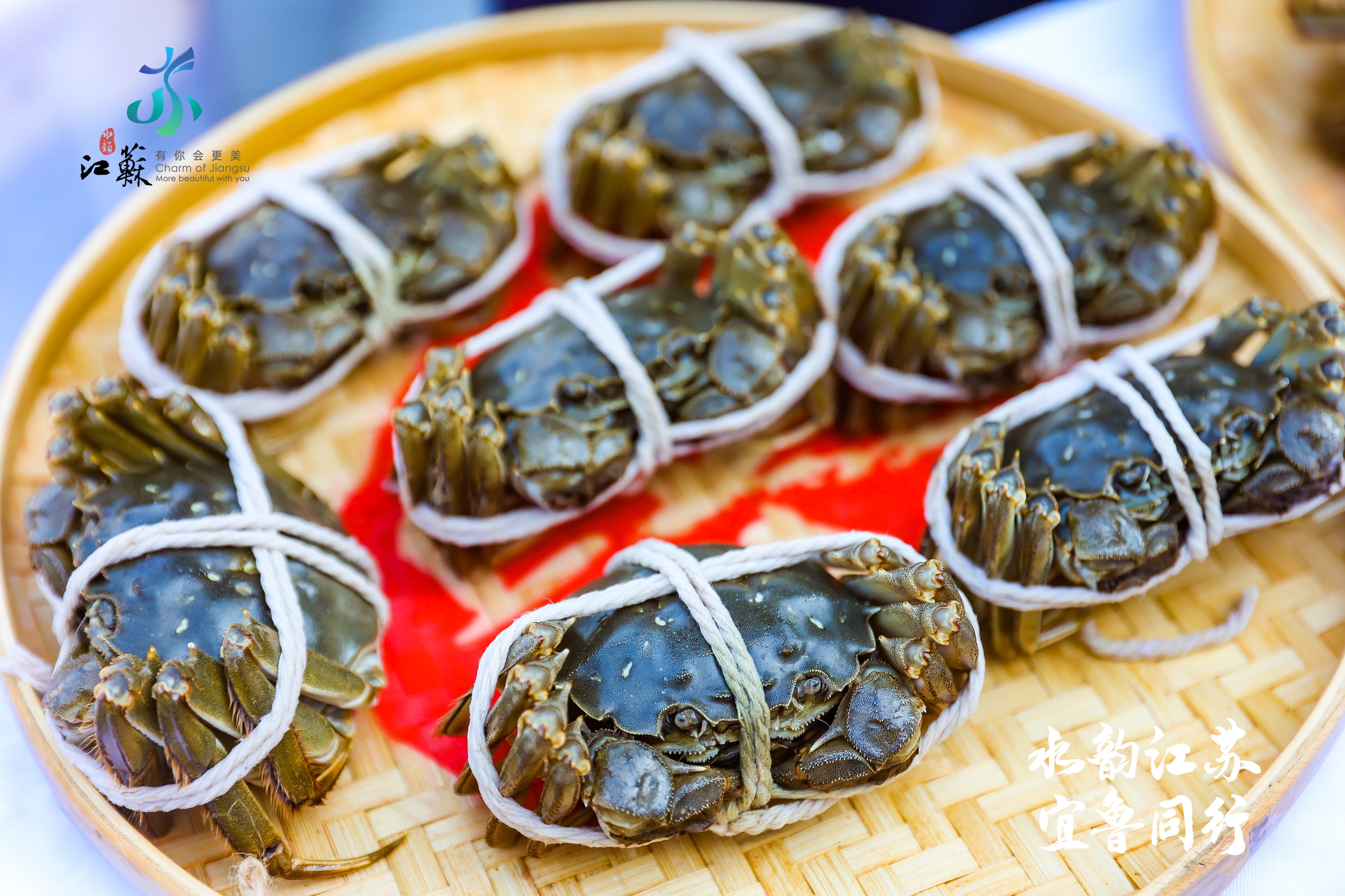 “水韵江苏”邂逅时尚青岛，诚邀“好客山东”一路同行