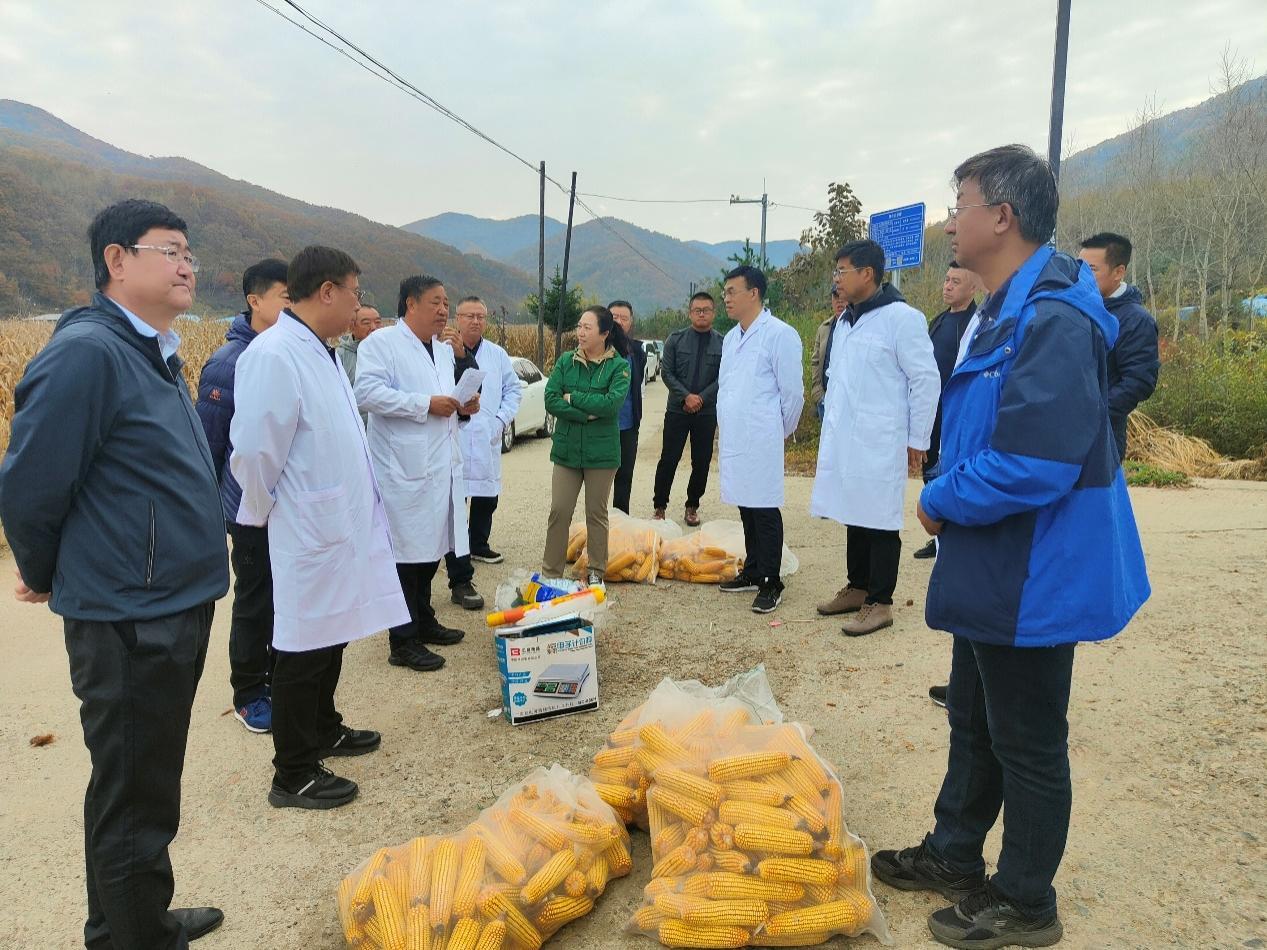 省农业农村厅科教处、园艺特产处以及集安市农业农村局负责同志参加了本次参粮轮作模式高标准示范基地调研与测产工作。