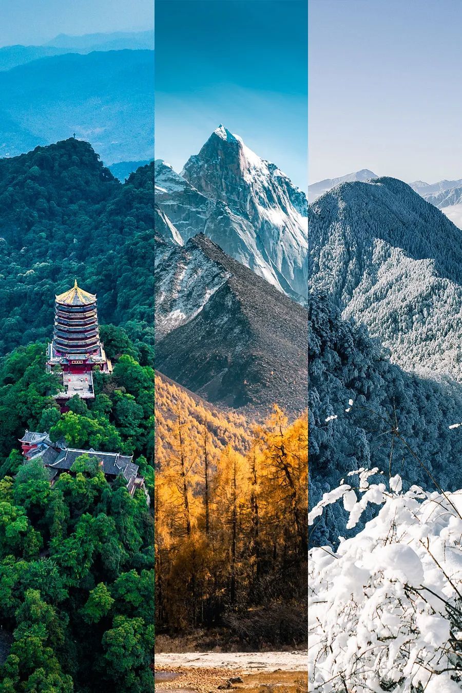 青城山、四姑娘山、西嶺雪山