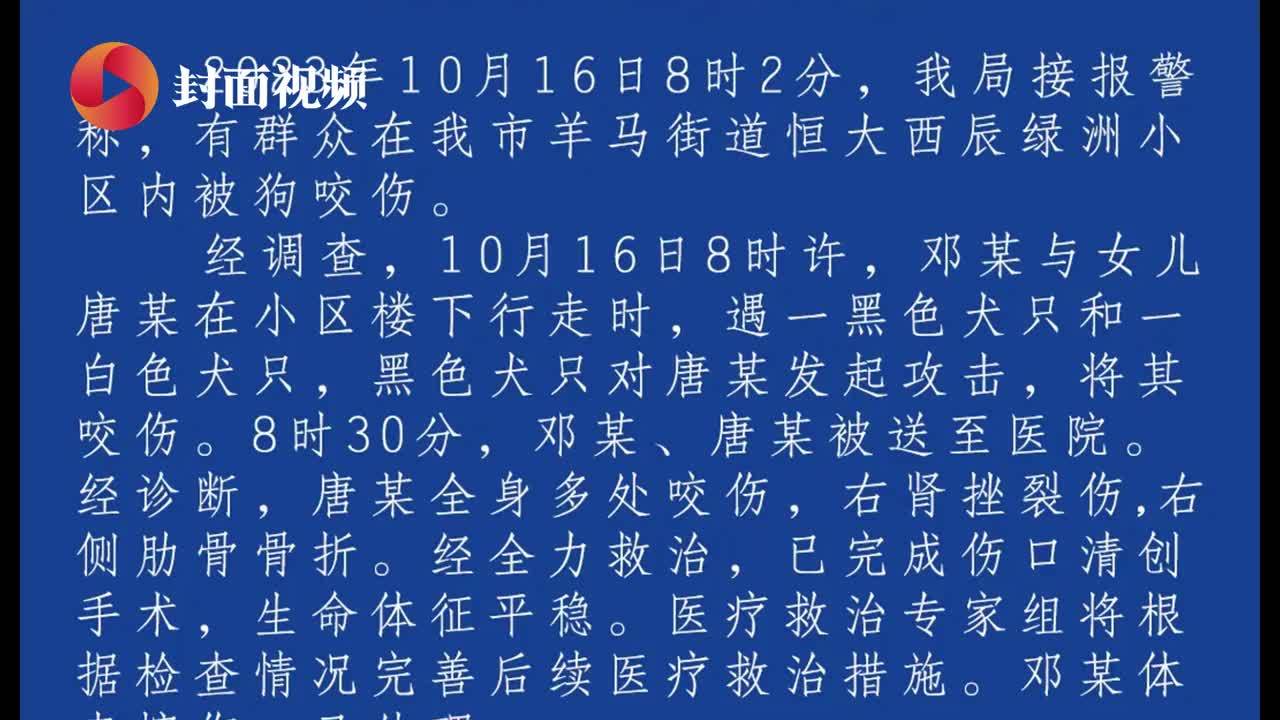 对话被狗咬女童母亲：女儿还在昏迷状态，至今未接到狗主人道歉丨封芒视频