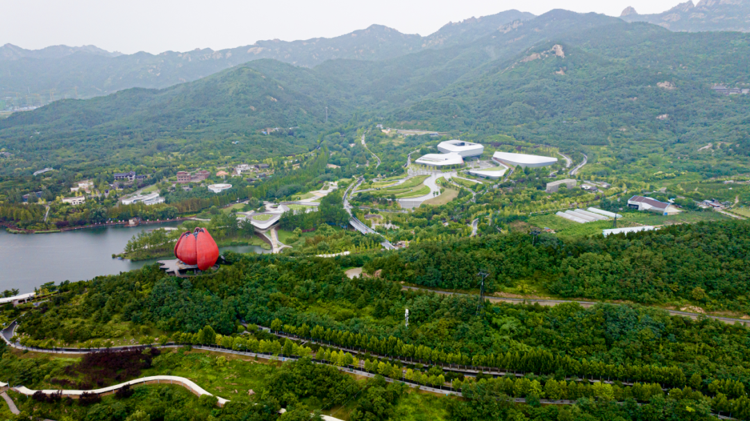 （世博园实拍图）