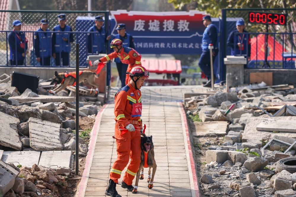 甘肃消防训导员曹法义、董星星与搜救犬辛巴、战狼参加废墟搜救科目竞赛