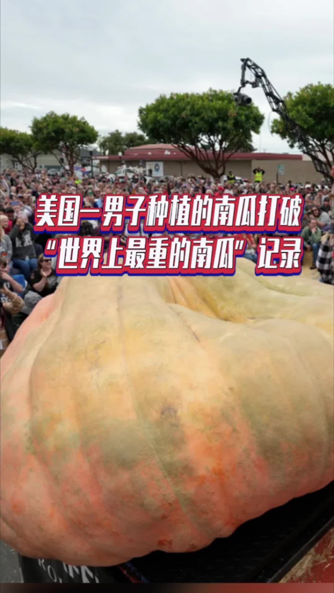 美国一男子种植的南瓜打破“世界上最重的南瓜”记录